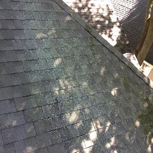 Roof Cleaning;